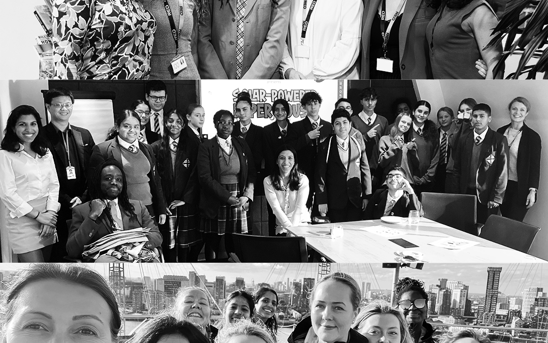 IDEA (Inclusion, Diversity, Equity & Accessibility)